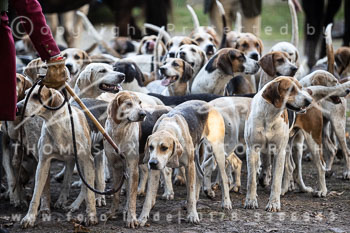 12 - Sko-Jagd Forstgut Rehrhof