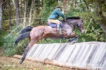 15 - Cross Country Jesteburg