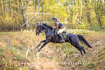 17 - Jagd Negenborn 17 - Jagd Negenborn
