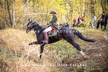 17 - Jagd Negenborn