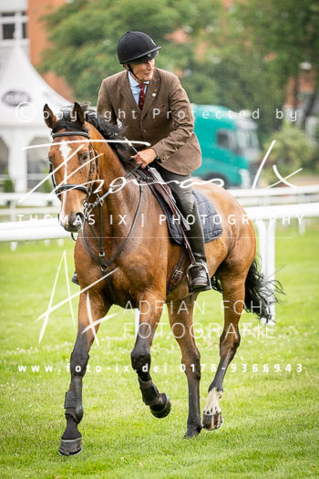 01 - Meutearbeit Horn