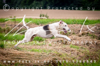 02 - Schleppjagd Steinhorst