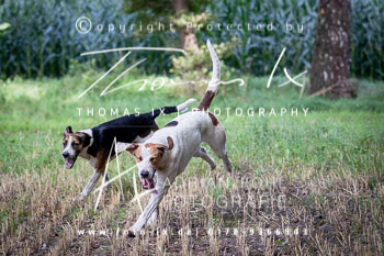 03 - Schleppjagd Rittergut Schnellenberg