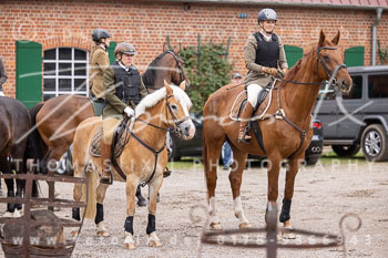 04 - Damenjagd Gut Basthorst