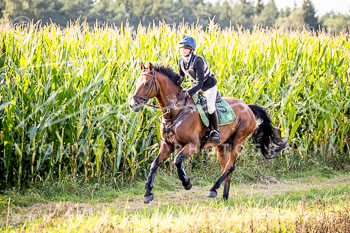 05 - Jagd Ellingen 05 - Jagd Ellingen