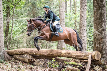 07 - Jagd Dreilingen