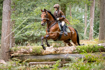 09 - Jagd Völkersen