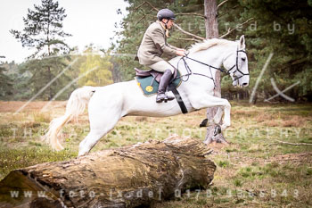 12 - Sko-Jagd Rehrhof