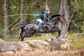 12 - Sko-Jagd Rehrhof