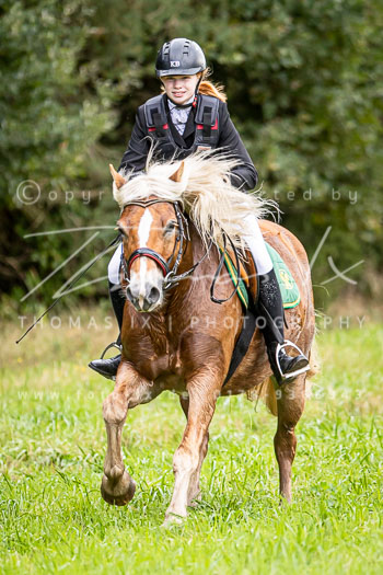 12 - Sko-Jagd Rehrhof