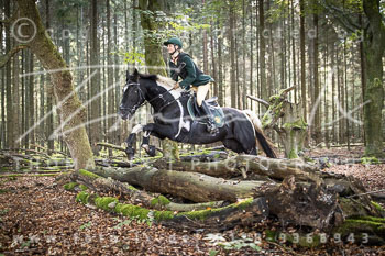 12 - Sko-Jagd Rehrhof