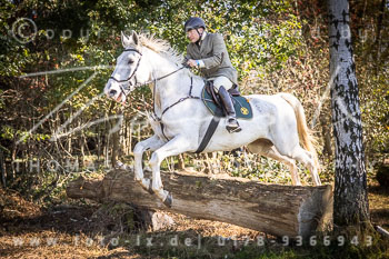 13 - Jagd Heitlingen