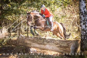 13 - Jagd Heitlingen