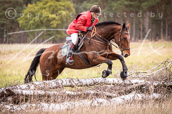 15 - Grenzlandjagd Schmölau