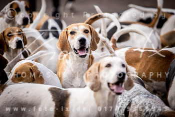 18 - Schleswig-Holstein Jagd Basthorst