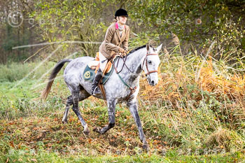 18 - Schleswig-Holstein Jagd Basthorst
