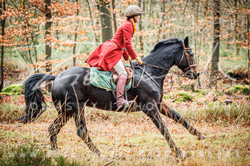 28 - Jagd Wense 28 - Jagd Wense