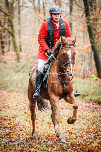 28 - Jagd Wense