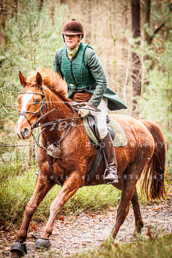 28 - Jagd Wense