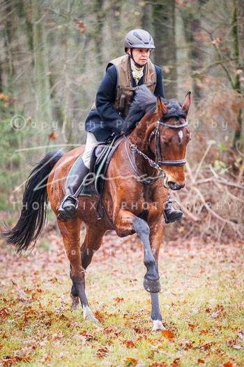 28 - Jagd Wense