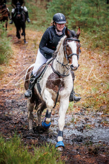 28 - Jagd Wense 28 - Jagd Wense