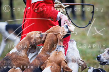 28 - Jagd Wense 28 - Jagd Wense