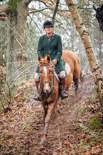 29 - Nikolausjagd Schneeren