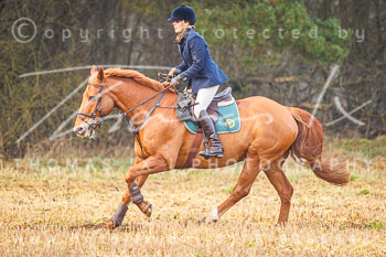 01 - Meutearbeit Jesteburg