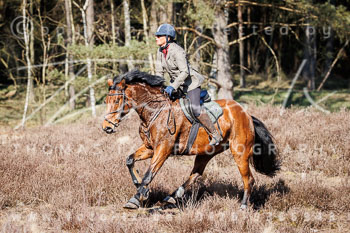 02 - Meutearbeit Rehrhof