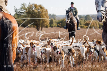 02 - Meutearbeit Rehrhof