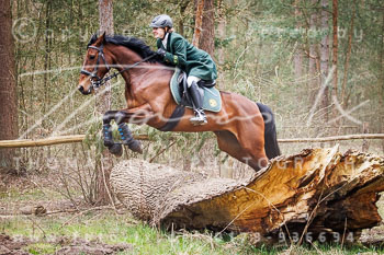 03 Jagd Verden