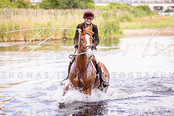 04 - Meutearbeit Horner Rennbahn