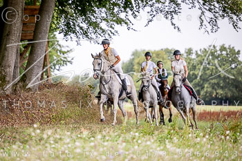 05 - Basthorst Damenjagd