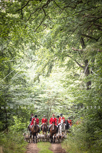 06 - Jagd Rittergut Schnellenberg