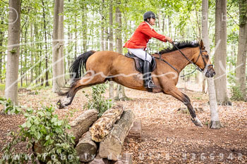 06 - Jagd Rittergut Schnellenberg