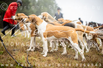 07 - Jagd Völkersen