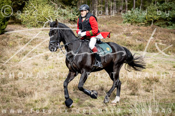 09 - Jagd Hermannsburg