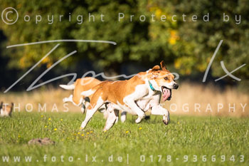 10 - Jagd Schloss Gesmold