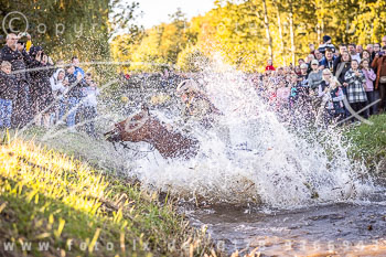 10 - Jagd Schloss Gesmold