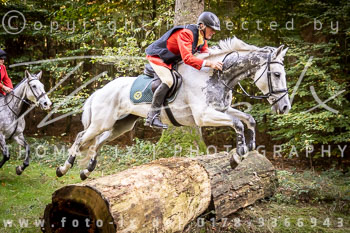 11 - Zwei-Meute-Jagd Rehrhof