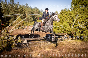 11 - Zwei-Meute-Jagd Rehrhof