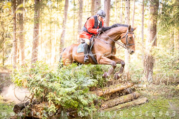 11 - Zwei-Meute-Jagd Rehrhof 11 - Zwei-Meute-Jagd Rehrhof