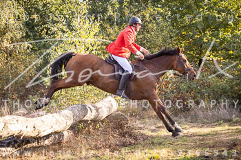 13 - Jagd Meitze