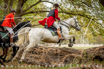 16 - Jagd Isernhagen 16 - Jagd Isernhagen