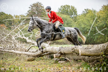 16 - Jagd Isernhagen 16 - Jagd Isernhagen