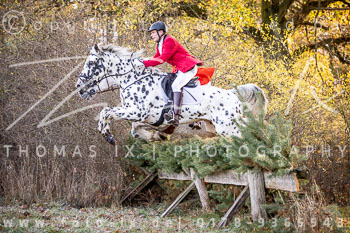 19 - Herbstjagd Sudermühlen