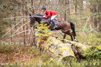 20 Jagd Ehlbeck 20 Jagd Ehlbeck