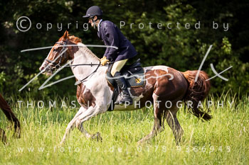 04 - Jagd Dreilingen