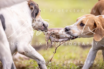 04 - Jagd Dreilingen 04 - Jagd Dreilingen