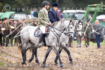 07 - Jagd Heitlingen 07 - Jagd Heitlingen